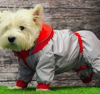 Impermeable para perros