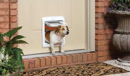 Puerta para perros
