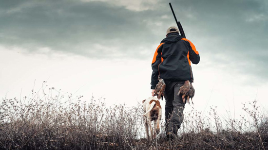 como entenar perros de caza